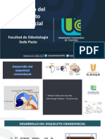 Desarrollo Del Esqueleto Craneomaxilar