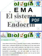 Sistema Endocrino 2