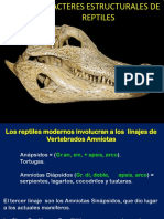 Caracteres Reptiles PDF