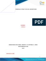 Informe Desarrollo Prácticas de Laboratorio: Nombre Cedula