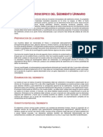 Examen Microscópico Del Sedimento Urinario