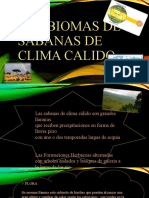 Los Biomas de Sabanas de Clima Calido