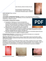 Dermatologia