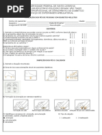 Ficha Do Pe