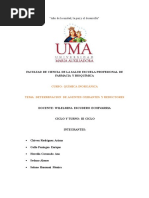 Quimica Inorganica Informe Final