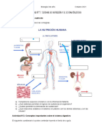 Edited - Guía 7 - Sistemas de Nutrición y Digestivo