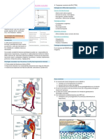 Dificultad Respiratoria en El RN