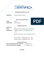 Informe Quimica 1