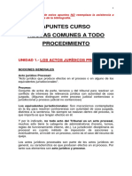 Apuntes Curso Reglas Comunes A Todo Procedimiento