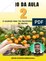 Ebook Aula 2 - Maratona Das Frutíferas Anãs