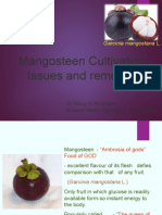 Mangosteen Cultivation