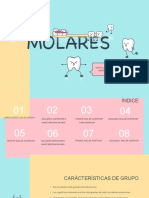 MOLARES