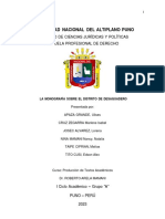 Monografia Desaguadero