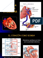 Fisiología Cardiovascular 2