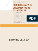 El Entorno Del Siaf y El Reconocimiento de Los Módulos