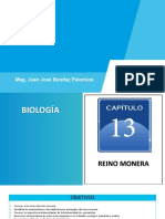 Biología - Semana #13 - Reino Monera