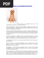 Adiestramiento de Perros