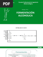 Práctica 11 Fermentación