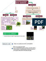 CIENCIAS Reproducción de Las Plantas