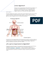 Qué Es El Aparato Digestivo