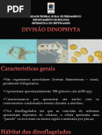 Diviso Dinophyta 2022