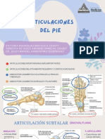 Parcial III - Tema 7 - Articulación Del Pie