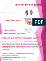 Factores Del Parto