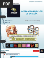 Glucolisis Biotransf de Energia 2