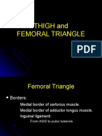 Thigh and Femoral Triangle Student