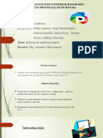 Informe Opinión de Auditoría Limpia