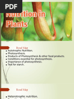 Nutrition in Plants