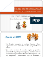 Roles y Funciones Del CSST