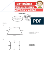 Perimetros y Areas para Tercero de Primaria