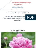 PDF Документ