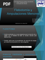 Flebotomia y AP Menores