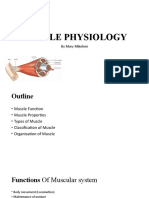 Muscle Physiology