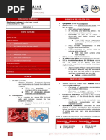 Lesson 1 - Introduction To Anemia