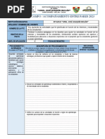 Registro de Campo Obs Entre Pares Jji 2023