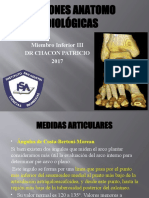 Relaciones Anatomo Radiologicas 5