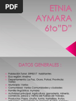 Etnia Aymara