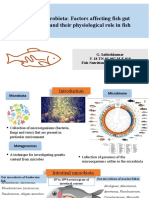 Fish Gut Microbiota Factors Affecting Fish Gut Microbome and Their Physiological Role in Fish