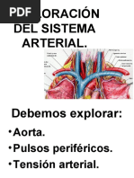 9 Sistema Arterial