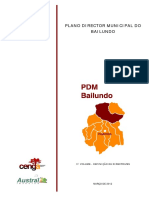 PDM Bailundo - Definição de Directrizes