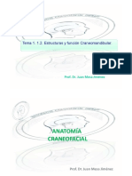 Tema 1. Introducción. 1.2. Estructura y Función Craneomandibular