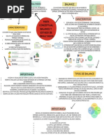 Mapa Conceptual Balance y Estado de Resultado