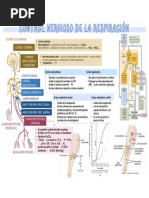 Control Nervioso de La Respiración