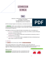 Guía Molecular. 3er Parcial