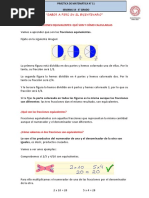 Práctica de Matemática #11