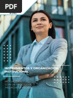 MAEGP - IOI - S2 - LO3 - Capítulo 4 - Instituciones (Centros de Gobierno) - Panorama de Las Administraciones Públicas América Latina y El Caribe 2020