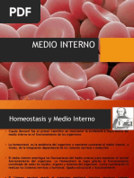 Medio Interno